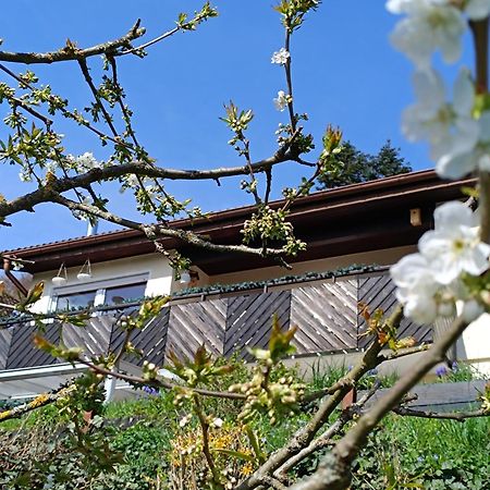 Ferienwohnung Zum Maerchenwald Bergfreiheit Exterior foto
