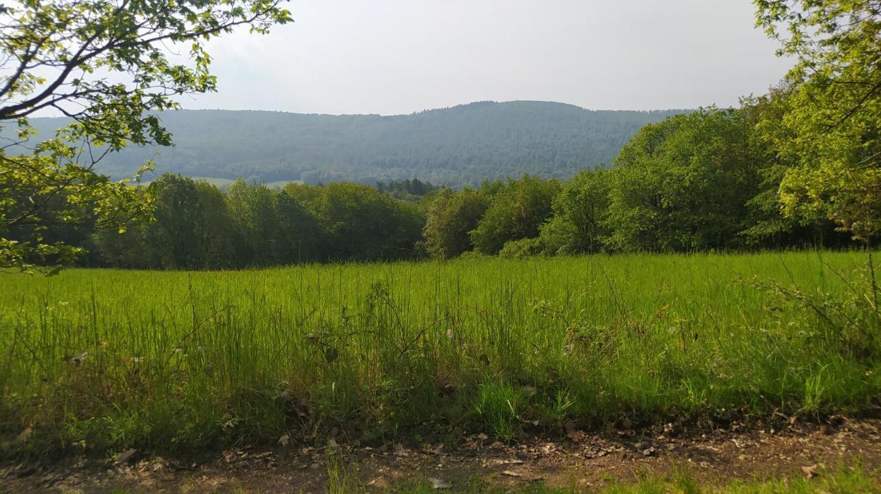 Ferienwohnung Zum Maerchenwald Bergfreiheit Exterior foto