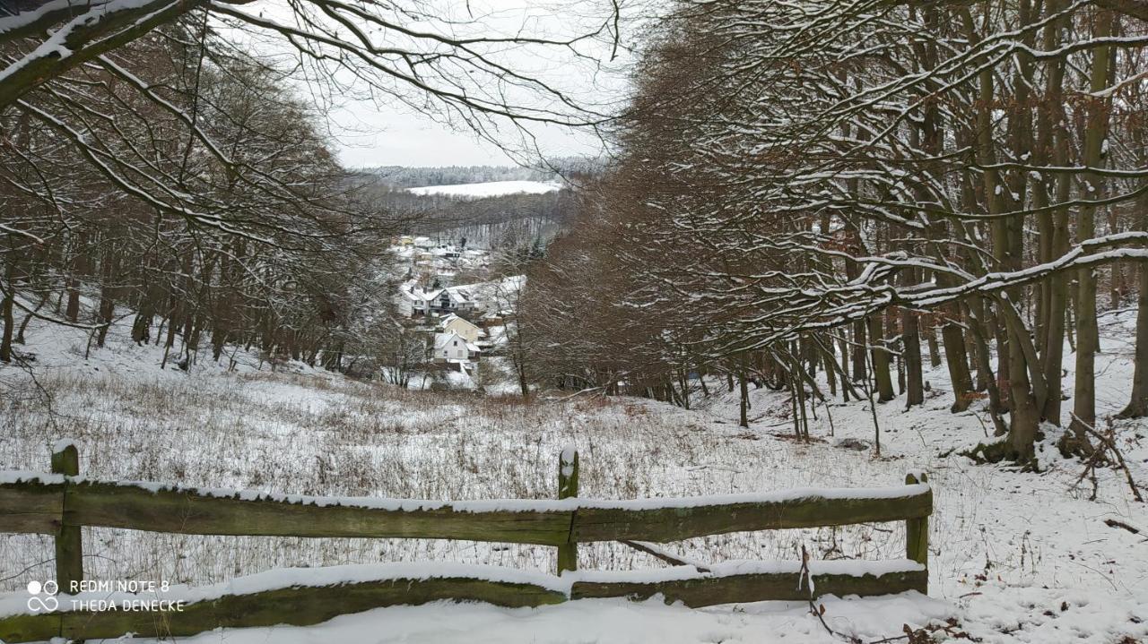Ferienwohnung Zum Maerchenwald Bergfreiheit Exterior foto