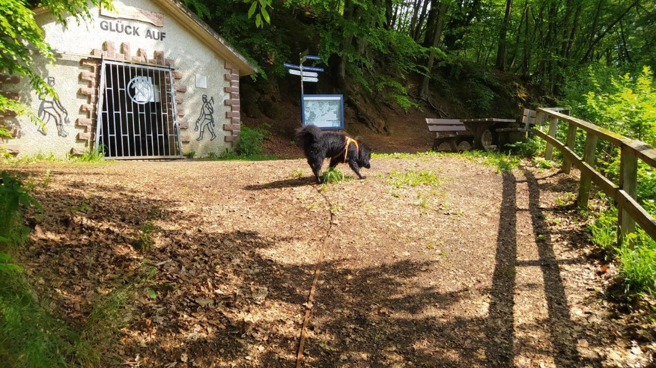 Ferienwohnung Zum Maerchenwald Bergfreiheit Exterior foto