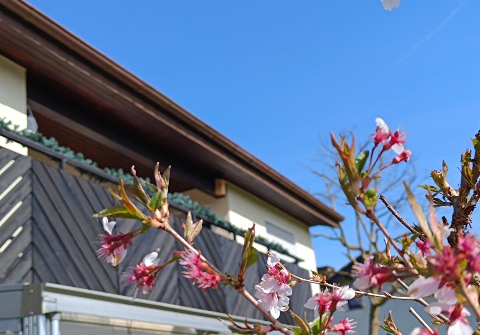 Ferienwohnung Zum Maerchenwald Bergfreiheit Exterior foto
