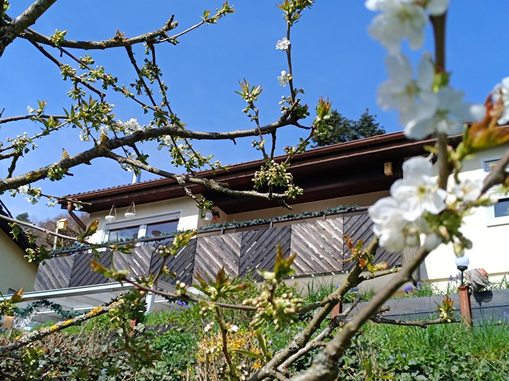 Ferienwohnung Zum Maerchenwald Bergfreiheit Exterior foto