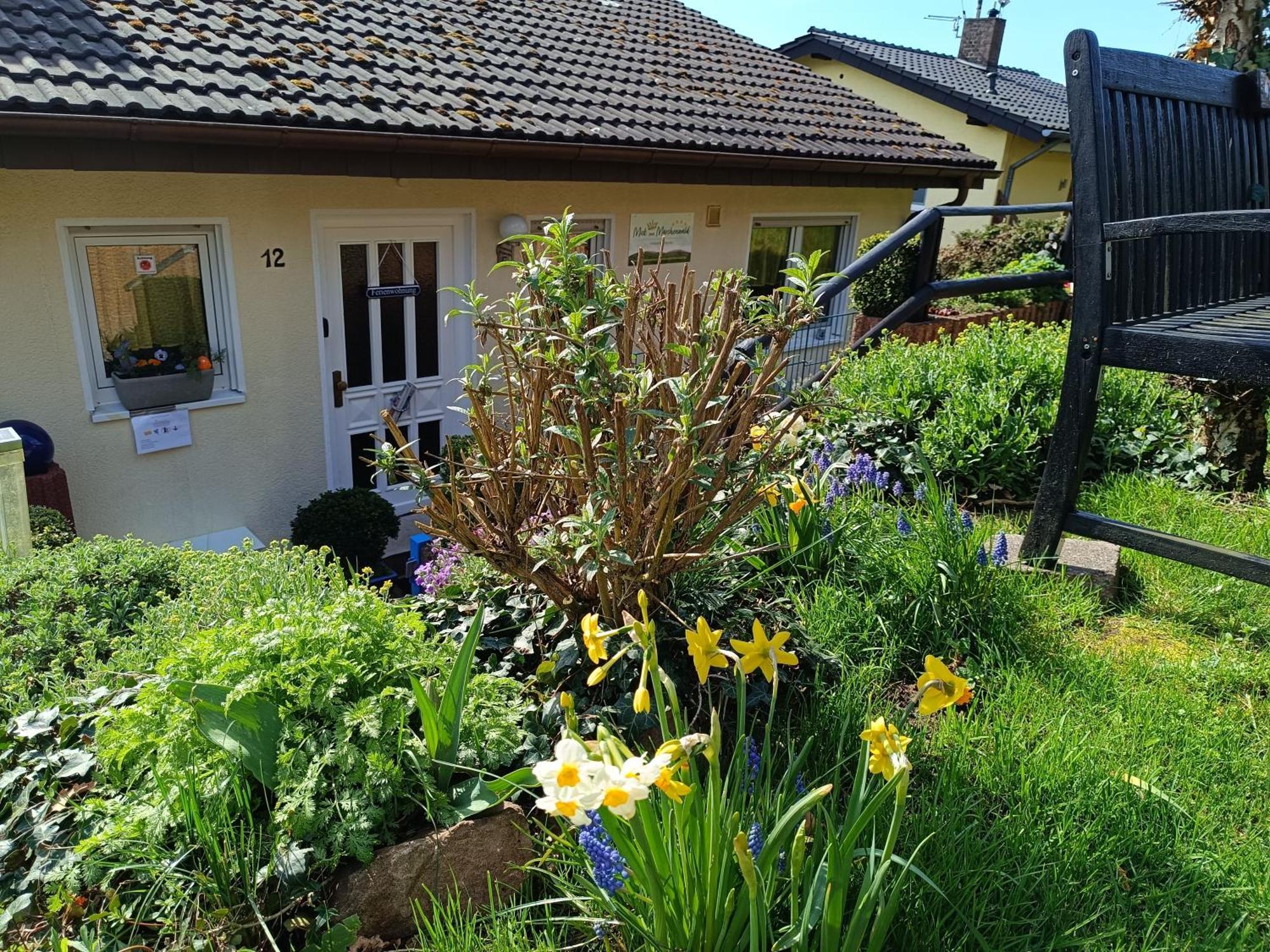 Ferienwohnung Zum Maerchenwald Bergfreiheit Exterior foto