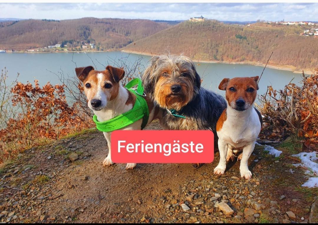 Ferienwohnung Zum Maerchenwald Bergfreiheit Exterior foto