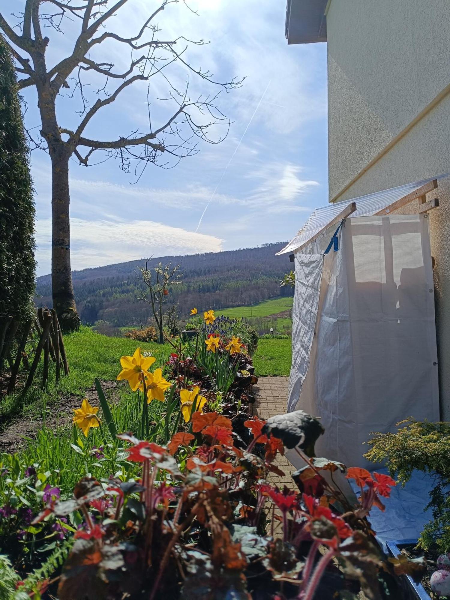 Ferienwohnung Zum Maerchenwald Bergfreiheit Exterior foto