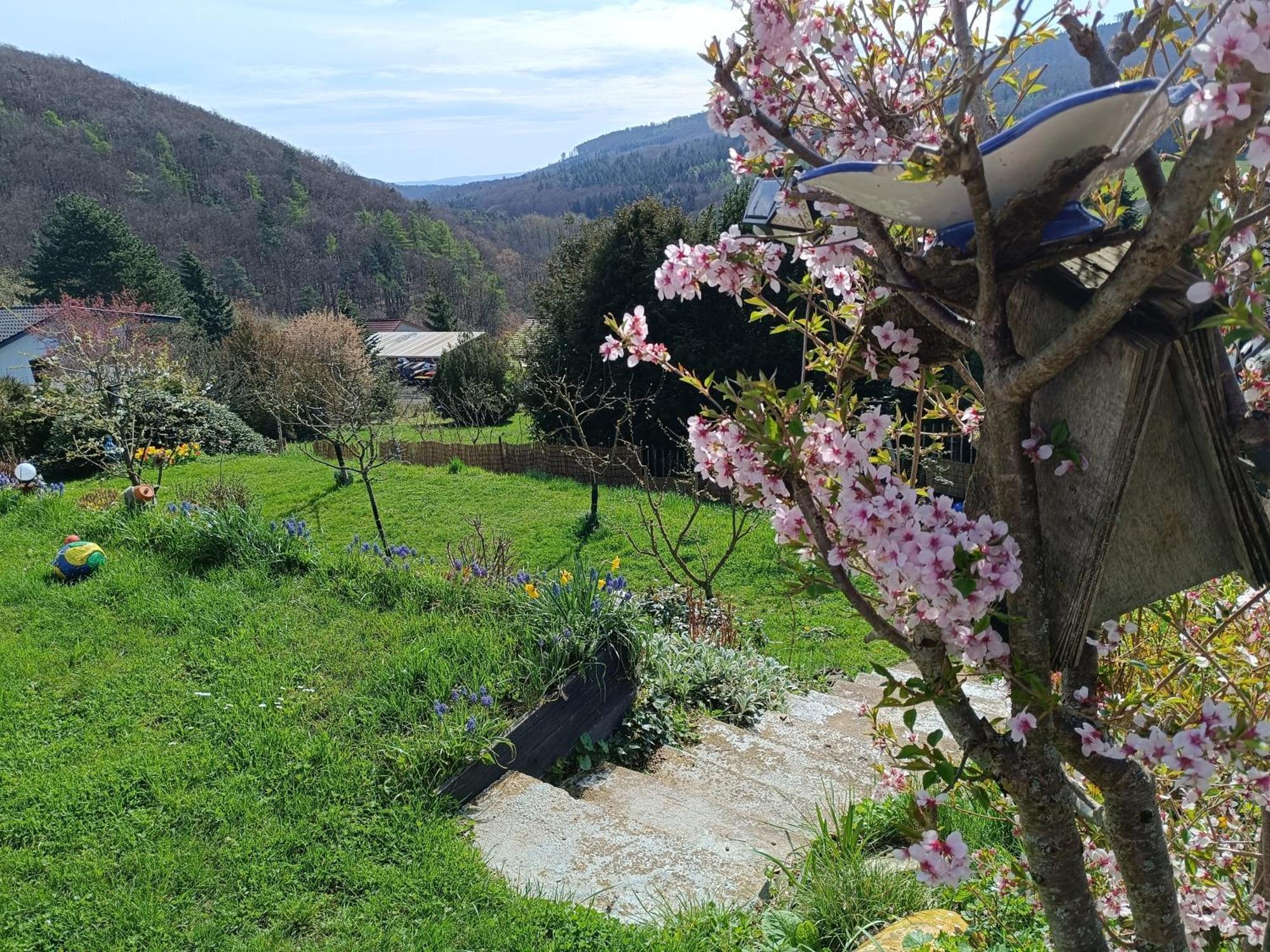 Ferienwohnung Zum Maerchenwald Bergfreiheit Exterior foto